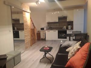 Appartement studio 45 m² +mezzanine : Appartement