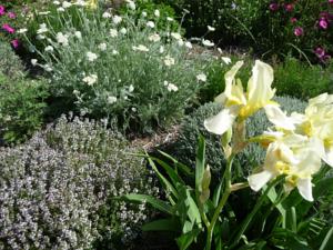 Hebergement Le Mille Fleurs : photos des chambres