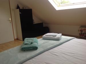 Chambres d'hotes/B&B B&B Alsace dans grande maison avec piscine : photos des chambres