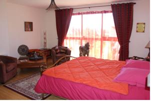 Chambres d'hotes/B&B Le Clos de la Challangette : photos des chambres