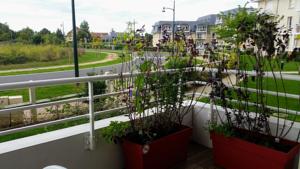 Appartement Residence MADDALENA : photos des chambres