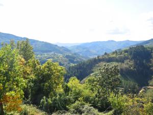 Hebergement Accons : photos des chambres