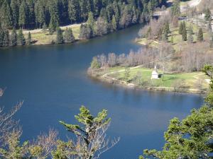 Hebergement Chalet la Petite Perle : photos des chambres