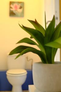 Appartement LP's house : photos des chambres