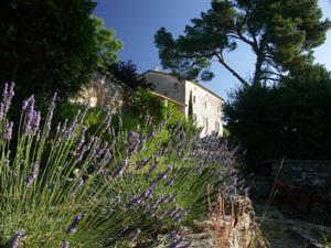 Hebergement Gites du Mas Icard : photos des chambres