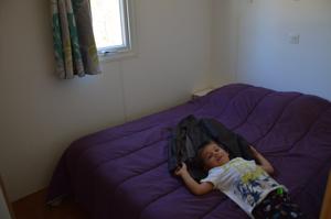 Hebergement LE MAS DES CHENES : photos des chambres