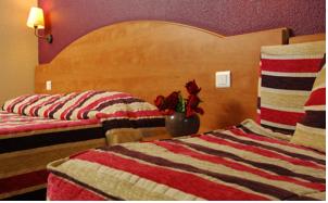 Hotel The Originals Nimes Costieres (ex Inter-Hotel) : photos des chambres