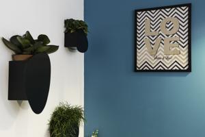 Appartement St Anne - Rue Rohaut : photos des chambres