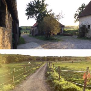 Hebergement Gite du Mont de la Louve : photos des chambres