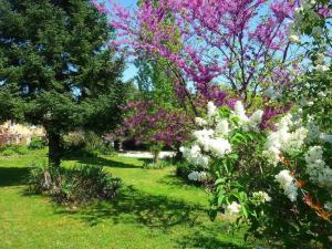 Chambres d'hotes/B&B Le Fer en Ceze : photos des chambres