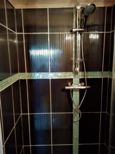 Chambres d'hotes/B&B Les Cabanes de Gros Bois : photos des chambres