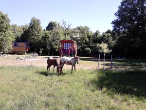 Hebergement Roulotte-Quinta : Mobile Home