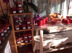 Hebergement Suite Bignone : photos des chambres