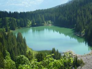 Hebergement CHALET VERMEILLE : photos des chambres