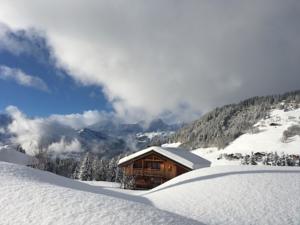 Hebergement Chalet L'Outarde : photos des chambres