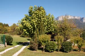 Hebergement Chalet de la Fressine : photos des chambres