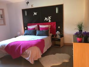 Hebergement Gites Toulouse 31 : photos des chambres