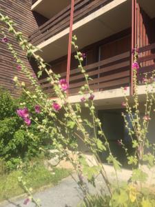 Appartement Appart terrasse cosy vue exceptionnelle montagne : photos des chambres