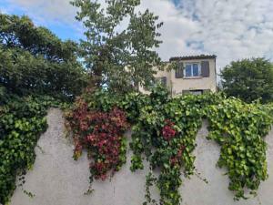 Appartement Ingrid Mary : Studio