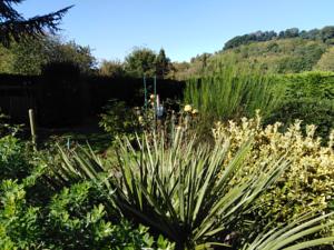 Chambres d'hotes/B&B La Gourmandise : photos des chambres
