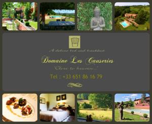 Chambres d'hotes/B&B Domaine Les Causeries : photos des chambres