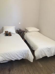 Hebergement la maison Junas : photos des chambres