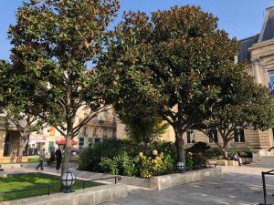 Appartement familial : photos des chambres