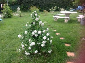 Hebergement chezlesmarmottes : photos des chambres