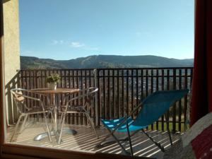 Appartement Studio les bleuets : photos des chambres