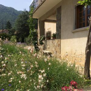 Chambres d'hotes/B&B Melodie de la Montagne : photos des chambres