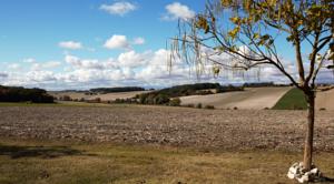 Hebergement Grange Des Hirondelles : photos des chambres