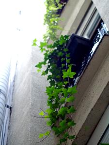 Appartement clair et lumineux au centre de Paris : photos des chambres