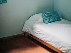 Hebergement Domaine du Mas Bazan : photos des chambres