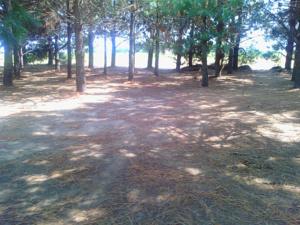 Hebergement Domaine du Mas Bazan : photos des chambres
