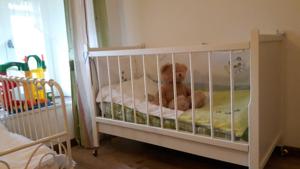 Hebergement Gite La Clef des Champs : photos des chambres