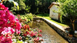 Hebergement Propriete du Moulin la Place : photos des chambres