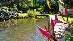 Hebergement Propriete du Moulin la Place : photos des chambres