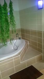 Chambres d'hotes/B&B la cure : photos des chambres