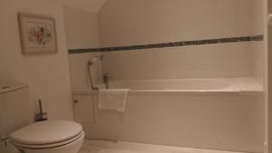 Hotel Le Lion Verd : Appartement Deluxe
