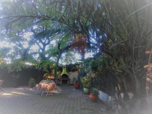 Hebergement maison calme et ombragee, la campagne a la ville : photos des chambres