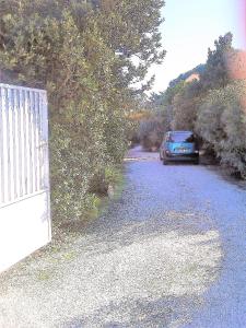 Hebergement maison calme et ombragee, la campagne a la ville : photos des chambres