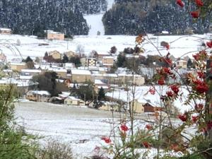 Hebergement Precioso chalet de montana : photos des chambres