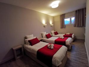 Hotel The Originals Gap Sud Le Cap (ex Inter-Hotel) : photos des chambres