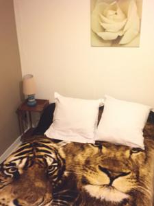 Hotel du Chemin de Fer : photos des chambres