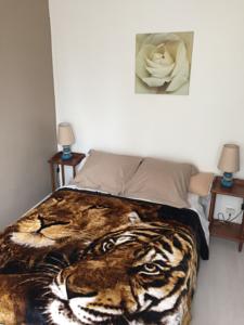 Hotel du Chemin de Fer : photos des chambres