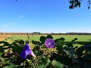 Hebergement Maison Garde Barriere 38 : photos des chambres