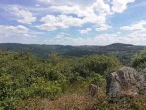 Hebergement Gite La Louviere : photos des chambres