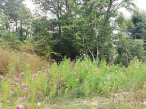 Hebergement Gite La Louviere : photos des chambres