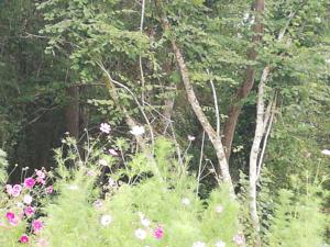 Hebergement Gite La Louviere : photos des chambres