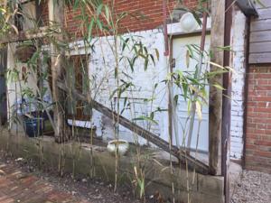 Appartement Floreal : photos des chambres